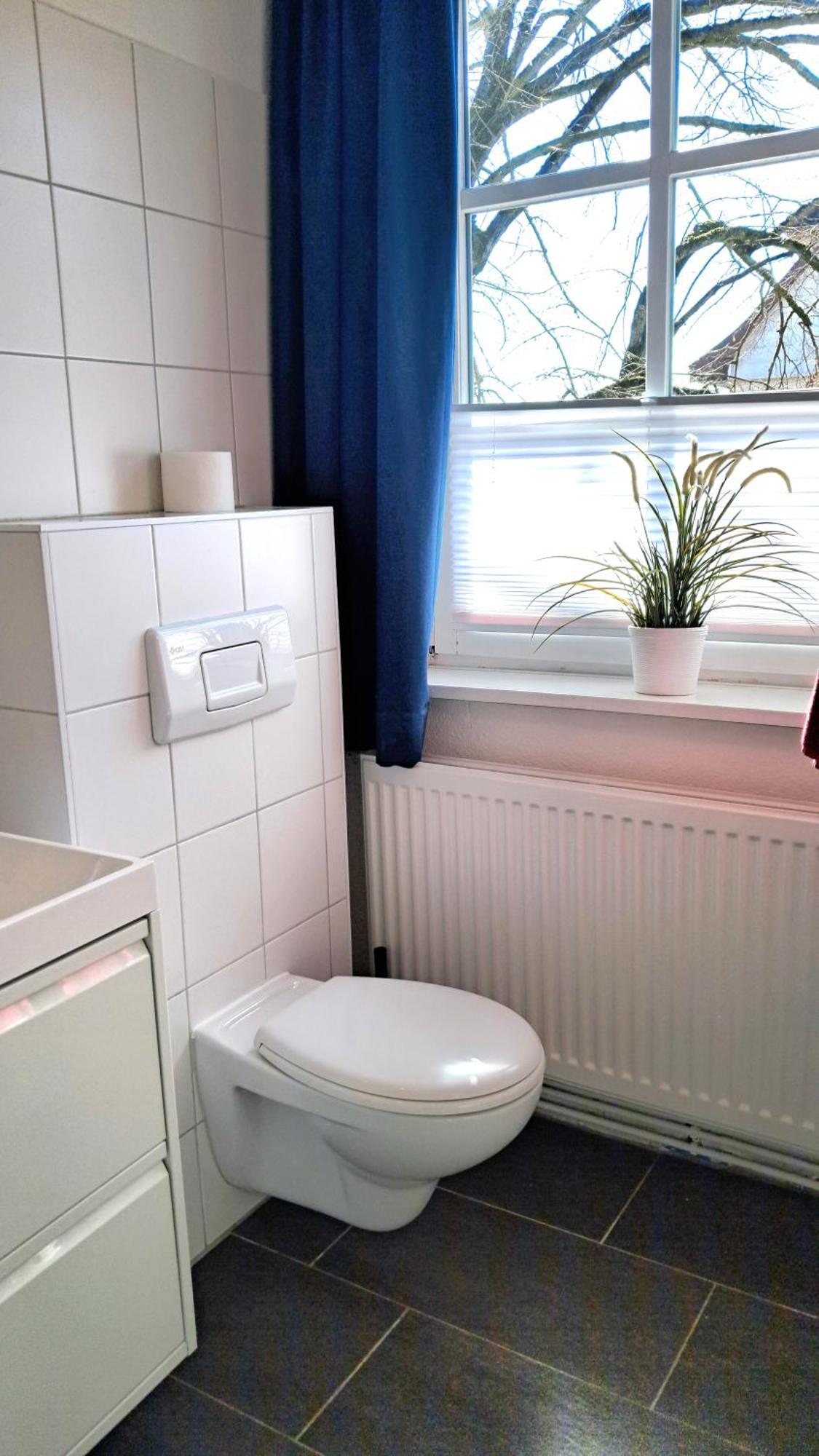 Apartment Brauner Hirsch Celle Dış mekan fotoğraf