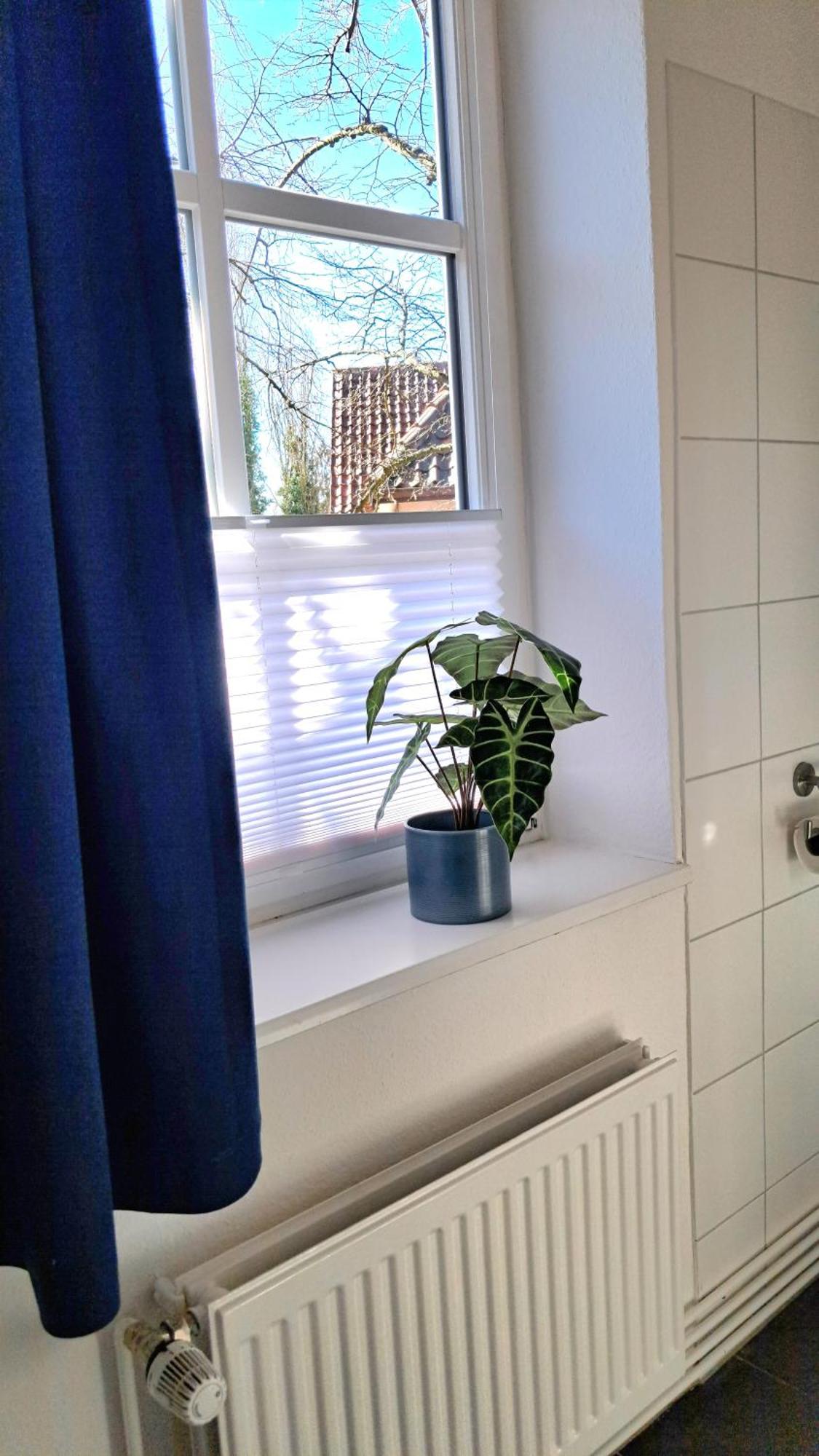 Apartment Brauner Hirsch Celle Dış mekan fotoğraf